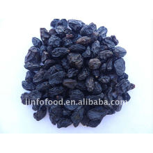 Top Quality Nature Black Raisin with competitive price